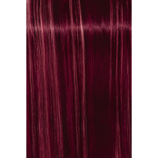 איגורה רויאל פאשן לייטס – 60 מ"ל